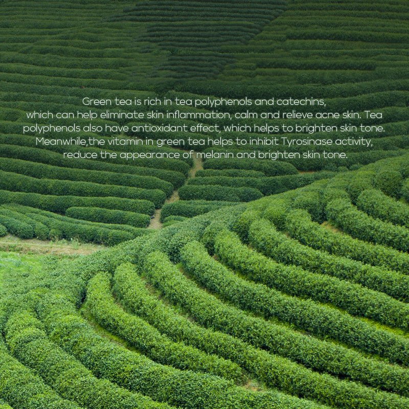 Green Tea Toner 100ml Moisturizing Lotion Skin Care Products - sidwish